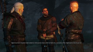 witcher 6